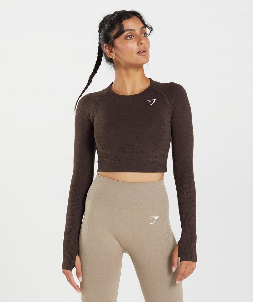 Women's Gymshark Vital Seamless 2.0 Cropped Tops Chocolate | CA 307D68